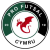 Pro Futsal Cymru